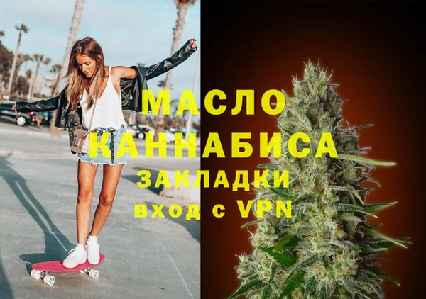мдпв Михайлов