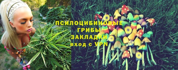 мдпв Михайлов