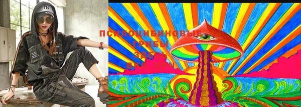 мдпв Михайлов