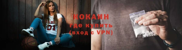 шишки Билибино