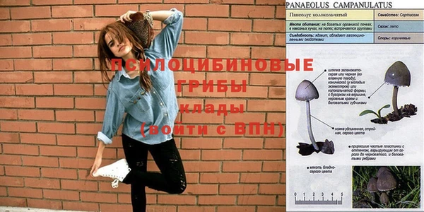 хмурый Михайловск