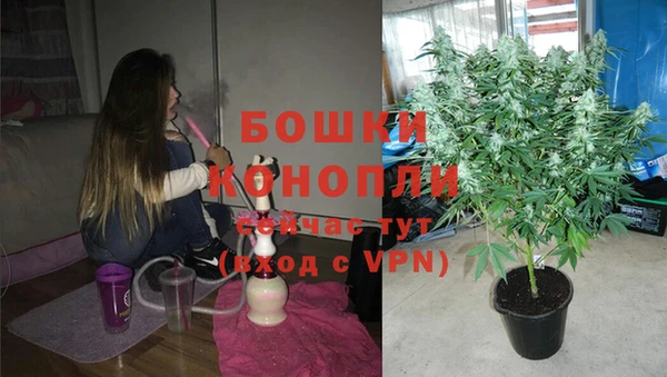 герыч Бикин