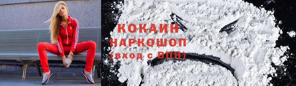 хмурый Михайловск