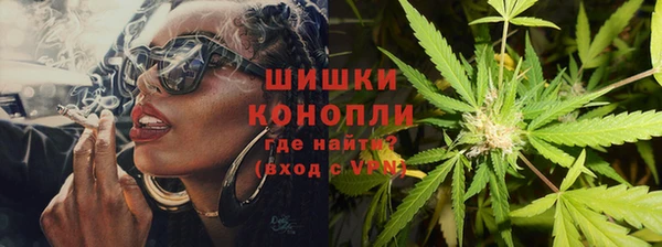 мдпв Михайлов