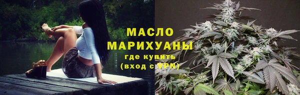 хмурый Михайловск