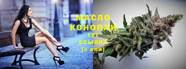мдпв Михайлов