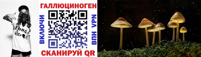 Галлюциногенные грибы Psilocybine cubensis  MEGA как зайти  Севастополь 