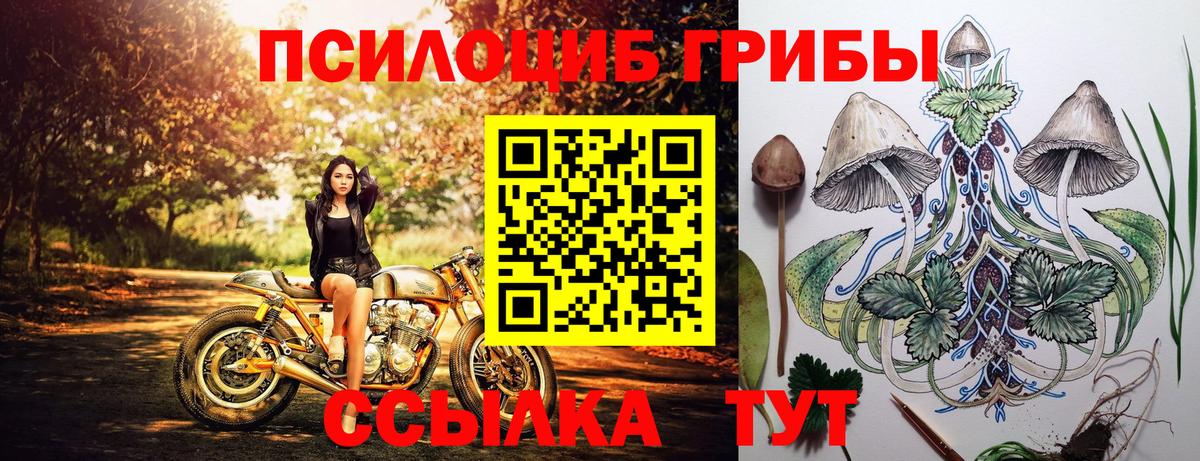 дарнет шоп  Галлюциногенные грибы Psilocybine cubensis  Севастополь  Вход с VPN  Псилоцибиновые грибы Magic Shrooms 