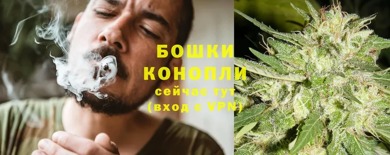 Бошки марихуана Ganja  как найти закладки  Севастополь 